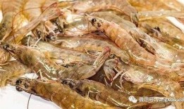 国内养殖虾爆料案件最新,揭秘国内养殖行业最新爆料事件